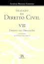 Tratado de Direito Civil VII