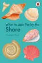 What To Look For By The Shore