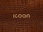 ICOON-croco 2008