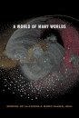A World of Many Worlds