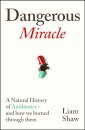 Dangerous Miracle
