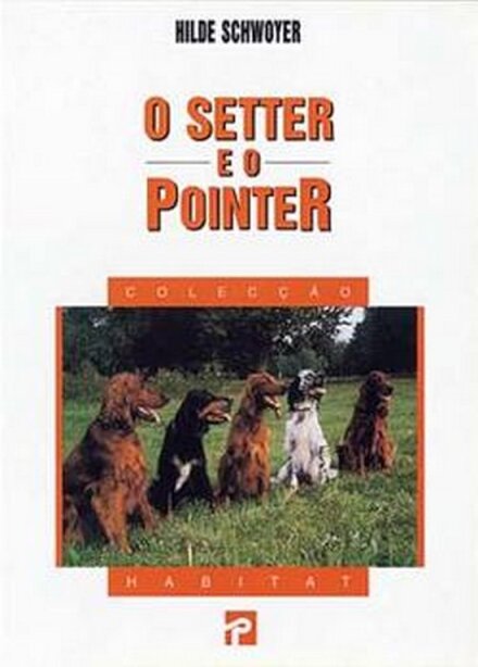 O Setter E O Pointer