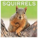 Squirrels 2025 12 X 12 Wall Calendar
