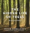 The Hidden Life of Trees: The Illustrated Edition