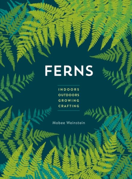 Ferns