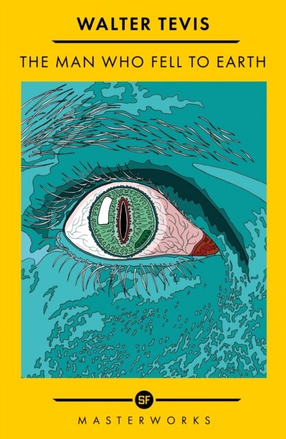 The Man Who Fell To Earth