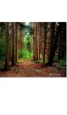 Nature grid style notebook $ir Michael NYC Limited edition