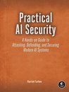 Practical AI Security