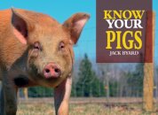 Know Your Pigs