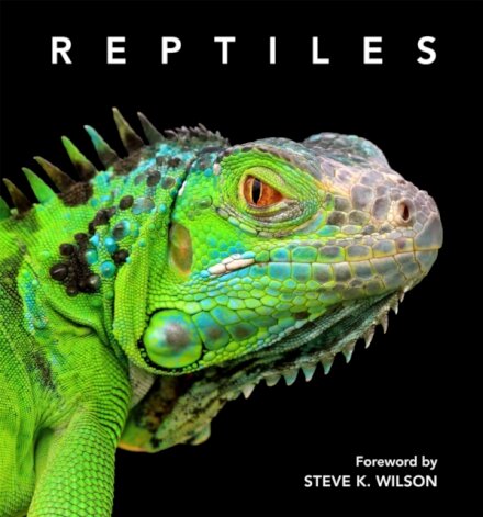 Reptiles