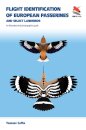 Flight Identification of European Passerines and Select Landbirds