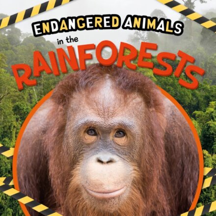 In the Rainforests