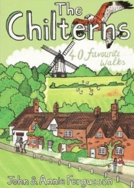 The Chilterns Pocket Mountains