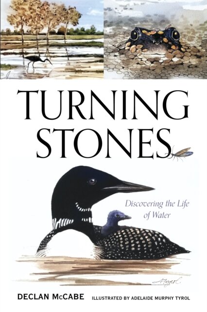 Turning Stones