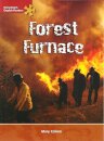 Forest Furnace
