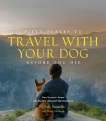 50 Places To Travel With Your Dog Before You Die