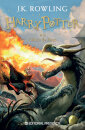 Harry Potter e o Cálice de Fogo