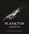 Plankton