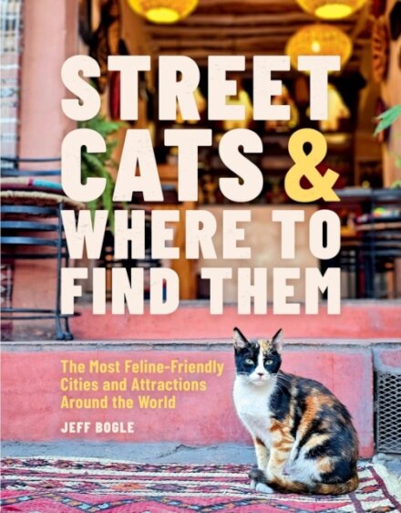 Street Cats & Where to Find Them