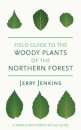 Field Guide to the Woody Plants of the Northern Forest