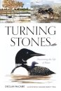 Turning Stones