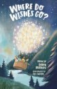 Where Do Wishes Go?