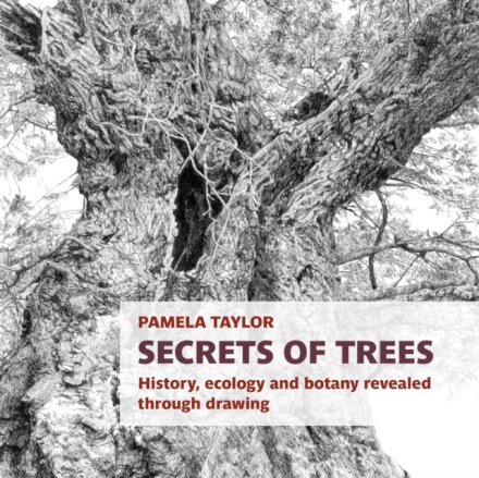 Secrets of Trees