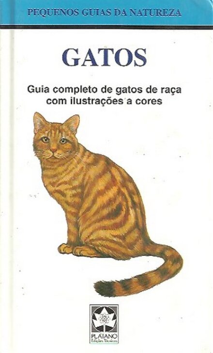 Gatos