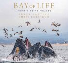 Bay of Life