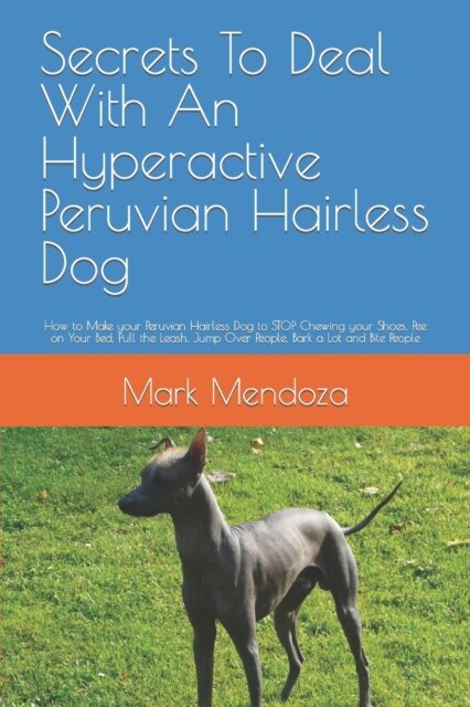Secrets To Deal With An Hyperactive Peruvian Hairless Dog