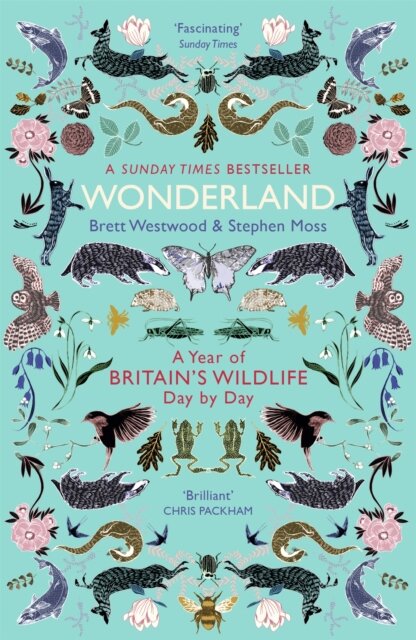 Wonderland