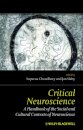 Critical Neuroscience