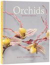 Orchids: Botanical Portraits