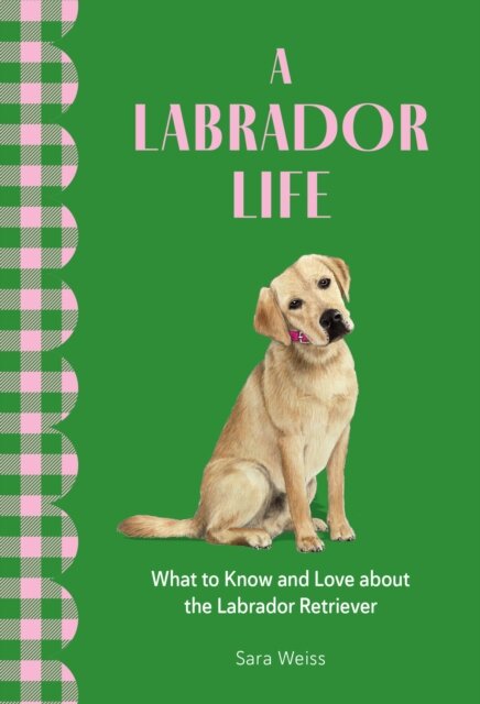 A Labrador Life