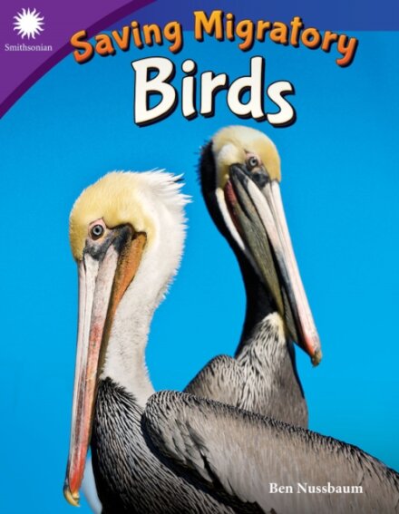 Saving Migratory Birds