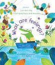 What Are Feelings?