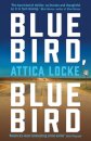 Bluebird Bluebird