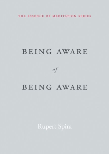 Being Aware Of Being Aware