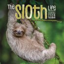 Sloths Square Wall Sunday Start Calendar