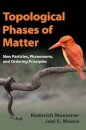 Topological Phases of Matter