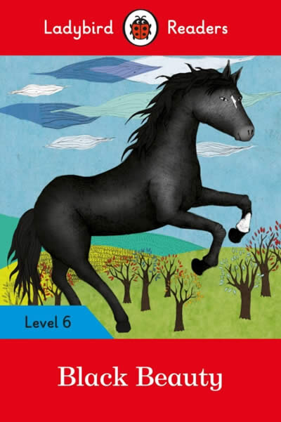 Black Beauty Lbr L6