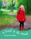 A Trail in the Woods