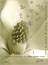 Guia De Estudo E Manual Soluções Química Orgânica 1