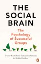 The Social Brain