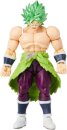Db Evolve Broly