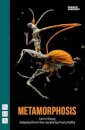 Metamorphosis