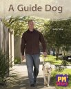 A Guide Dog