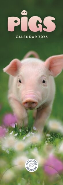 Pigs Slim Calendar 2026