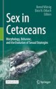 Sex in Cetaceans