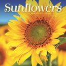 Sunflowers Square Mini Sunday Start Cale